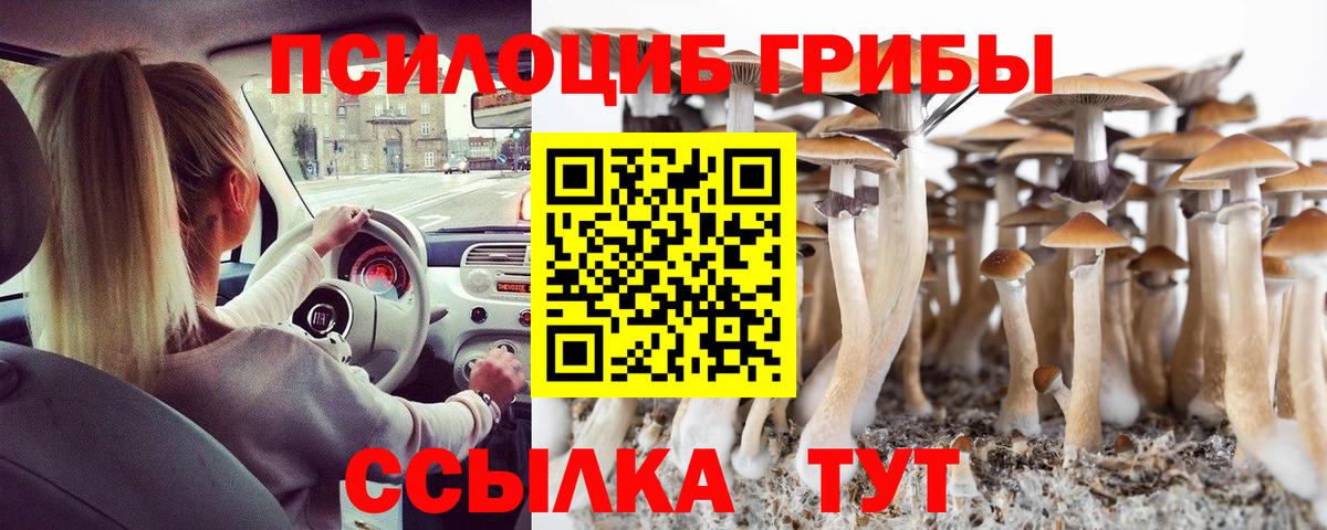 Дубна  Псилоцибиновые грибы Cubensis  Галлюциногенные грибы Psilocybine cubensis  Вход с VPN 