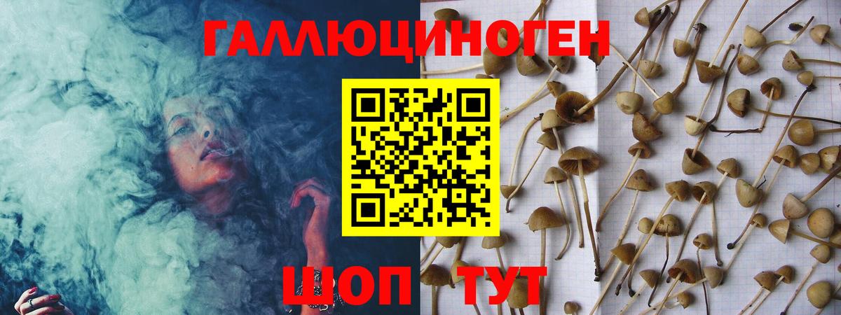 Галлюциногенные грибы Magic Shrooms Дубна
